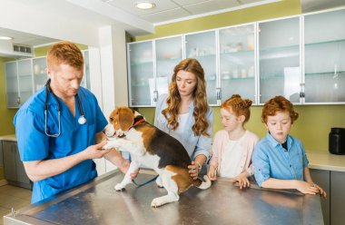 Hayvan hastalıklarıyla ilgili tasvirler köpek Kliniği