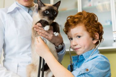 Çocuk ausculting kedi stetoskop ile