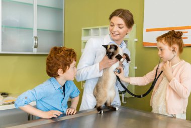 Kız ausculting kedi kliniğinde