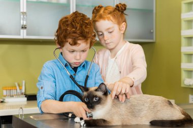 erkek ve kız ausculting kedi kliniğinde 