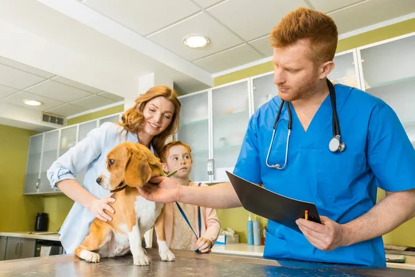 Κτηνιατρική εξέταζε σκυλί στην κλινική — Φωτογραφία Αρχείου