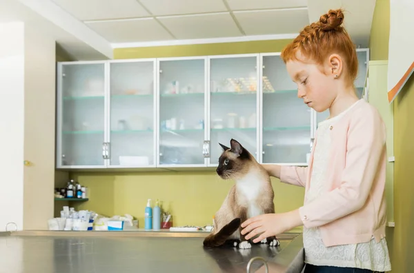 Девушка в ветеринарной клинике с котом — стоковое фото