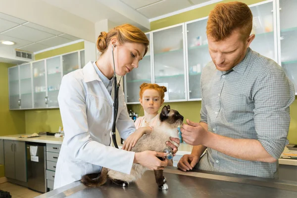 Veterinaire ausculting kat met de stethoscoop — Stockfoto