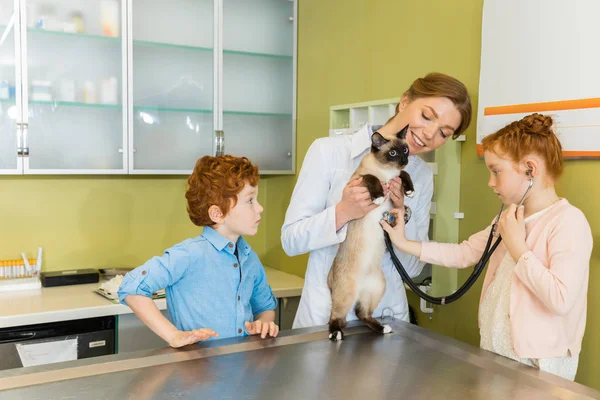 Menina auscultar gato na clínica — Fotografia de Stock