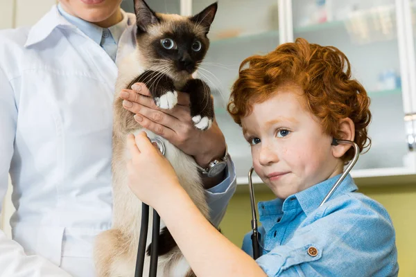 聴診器で ausculting 猫と少年 — ストック写真