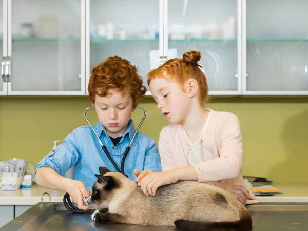 Chlapec a dívka ausculting kočka na klinice — Stock fotografie