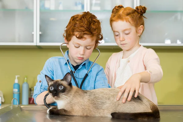 Boy and girl ausculting cat at clinic — Stock Photo, Image