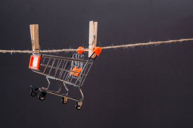 küçük alışveriş sepeti 