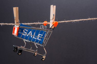 küçük alışveriş sepeti 