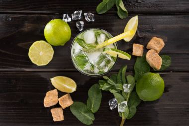 Mojito cocktail ingredients  clipart