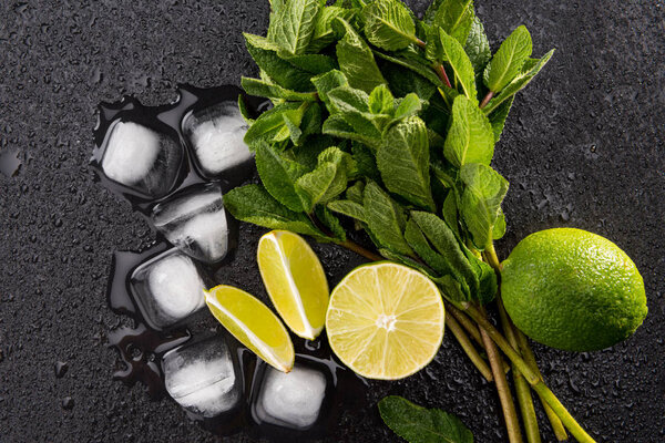 Mojito cocktail ingredients 