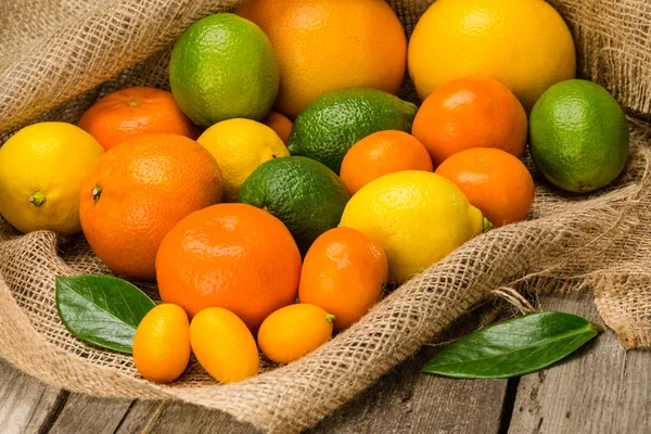 Fresh citrus fruits — Stock Photo