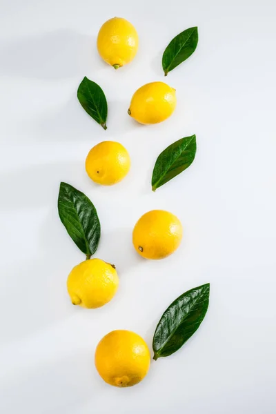 Citrons frais et feuilles — Photo de stock