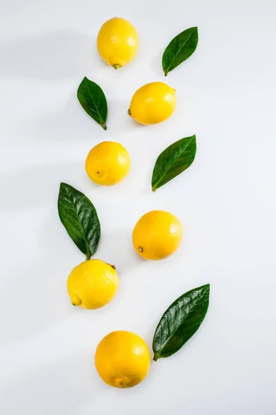 Fresh lemons and leaves — Stock Photo