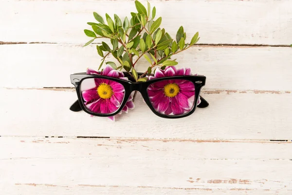 Eyeglasses and pink flowers — Stock Photo