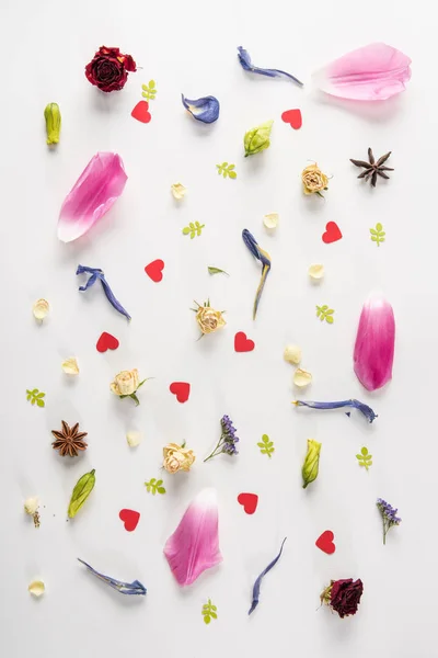 Variedade de flores e ervas — Fotografia de Stock