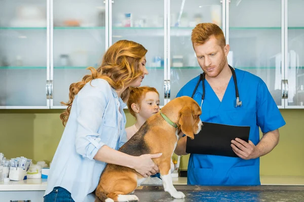 Veterinaria perro de examen en la clínica - foto de stock
