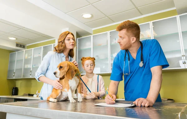 Dog at veterinary doctor — Stock Photo