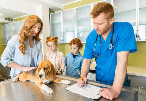 Cão no médico veterinário — Fotografia de Stock