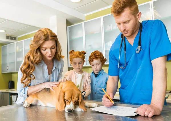 Собака у ветеринарного лікаря — стокове фото