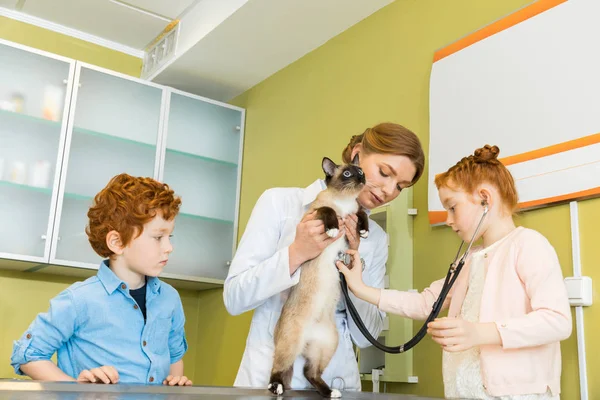 Chica auscultar gato en clínica - foto de stock