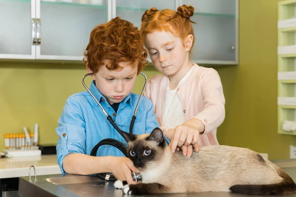 Chico y chica auscultar gato en clínica - foto de stock
