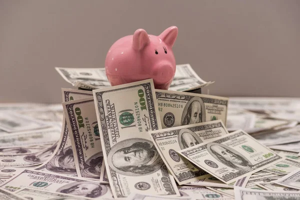 Dollar banknotes and piggy bank — Stock Photo