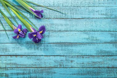 irises flowers on table clipart