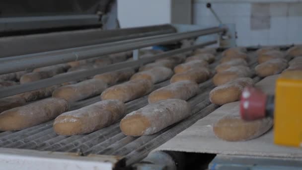 Making bread at the bakery — Stock Video