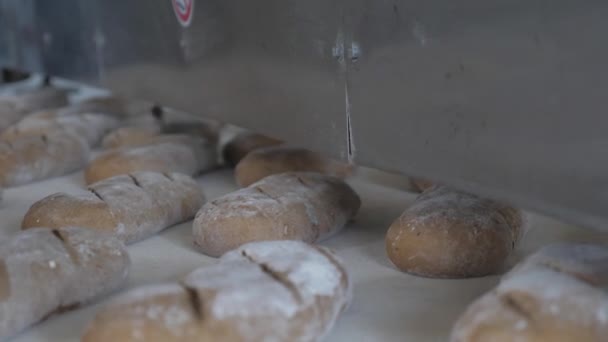 Hacer pan en la panadería — Vídeo de stock