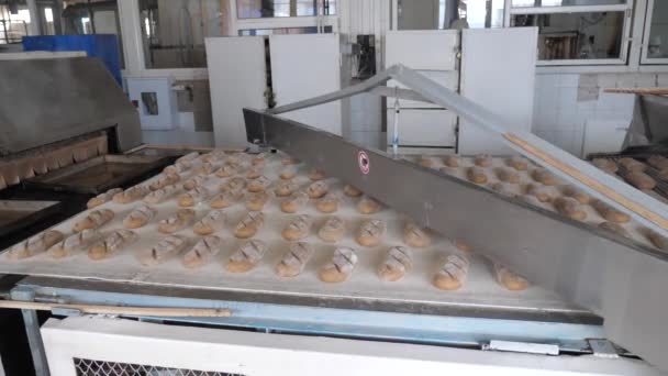 Pečení chleba v pekárně — Stock video