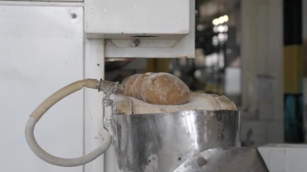 Baka bröd på bageriet — Stockvideo