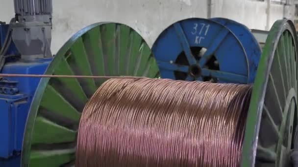 Kabeltillverkning i en kabelfabrik — Stockvideo