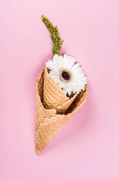 Квіти в цукрових конусах — Безкоштовне стокове фото