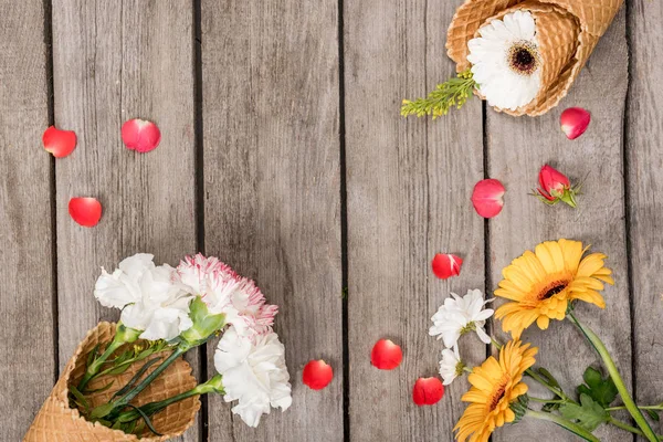 Flowers in sugar cones — Stock Photo, Image