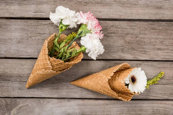 Flowers in sugar cones — Stock Photo, Image