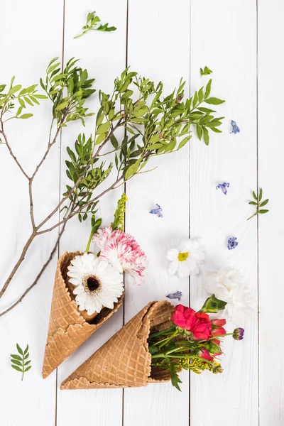Flowers in waffle cones — Stock Photo, Image