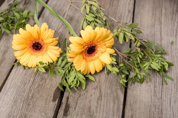 Belles fleurs fleuries — Photo