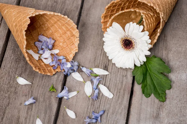 Flower and petals in wafer cones — Stock Photo, Image