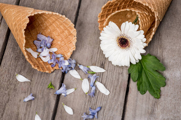 Flower and petals in wafer cones 