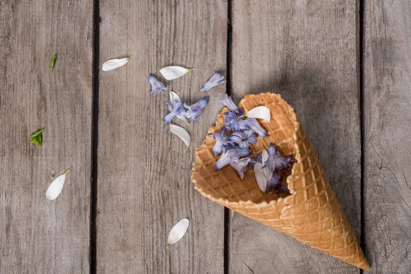 Wafer cone with petals — Free Stock Photo