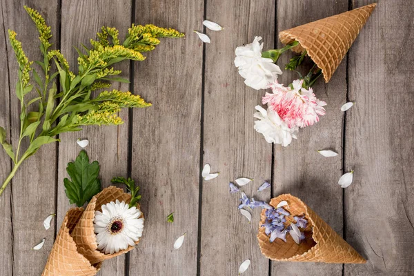 Bloemen in wafel kegels — Stockfoto