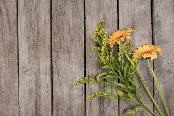 Beautiful blossom flowers — Stock Photo, Image