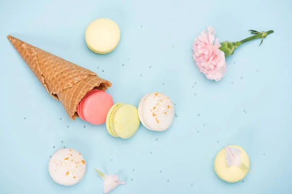 Sweet macarons with pink Carnation — Stock Photo, Image