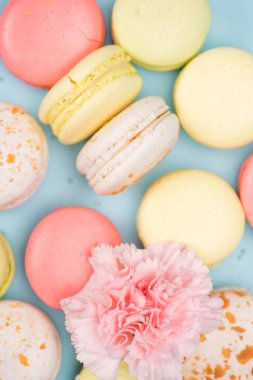 macarons background with pink flower clipart