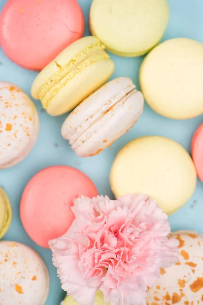 Macarons background with pink flower — Stock Photo, Image