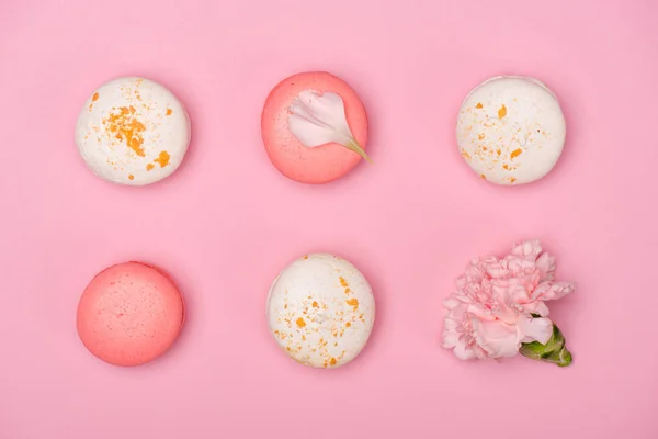 Group of fresh homemade macarons — Stock Photo, Image