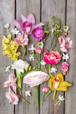 Beautiful blooming flowers clipart