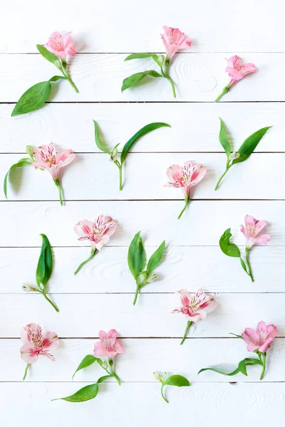 Bellissimi fiori in fiore — Foto Stock