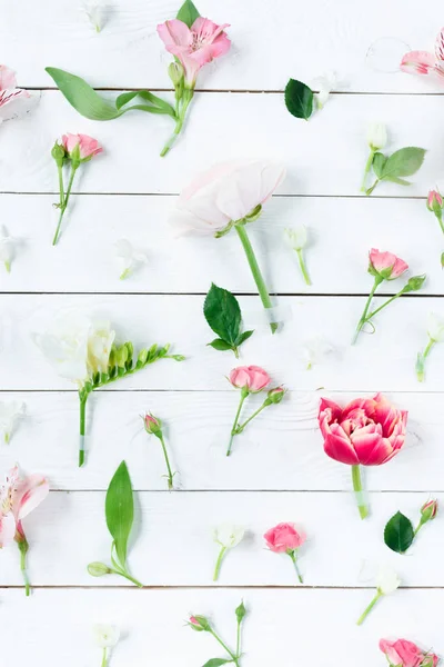 Hermosas flores en flor — Foto de Stock